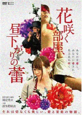 平台年龄验证流程档案图